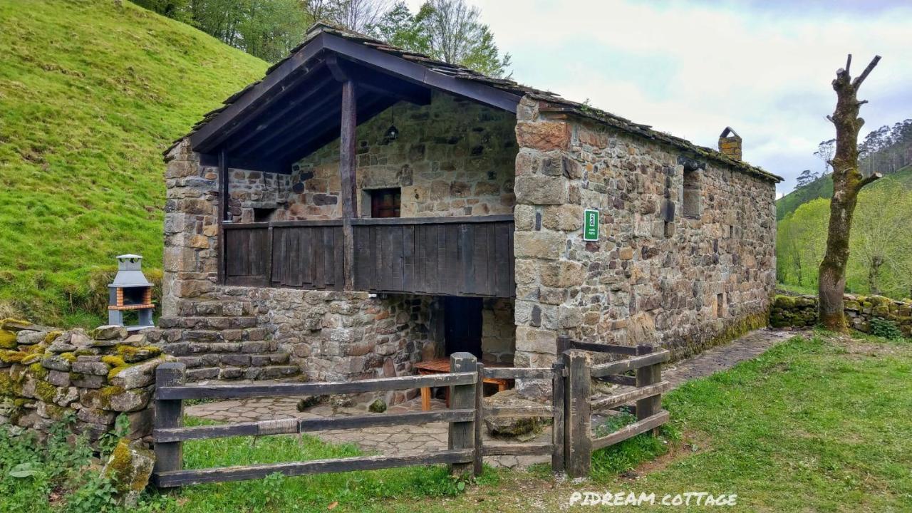 Pidream Cottage . Cabanas De Pisuena Selaya Kültér fotó
